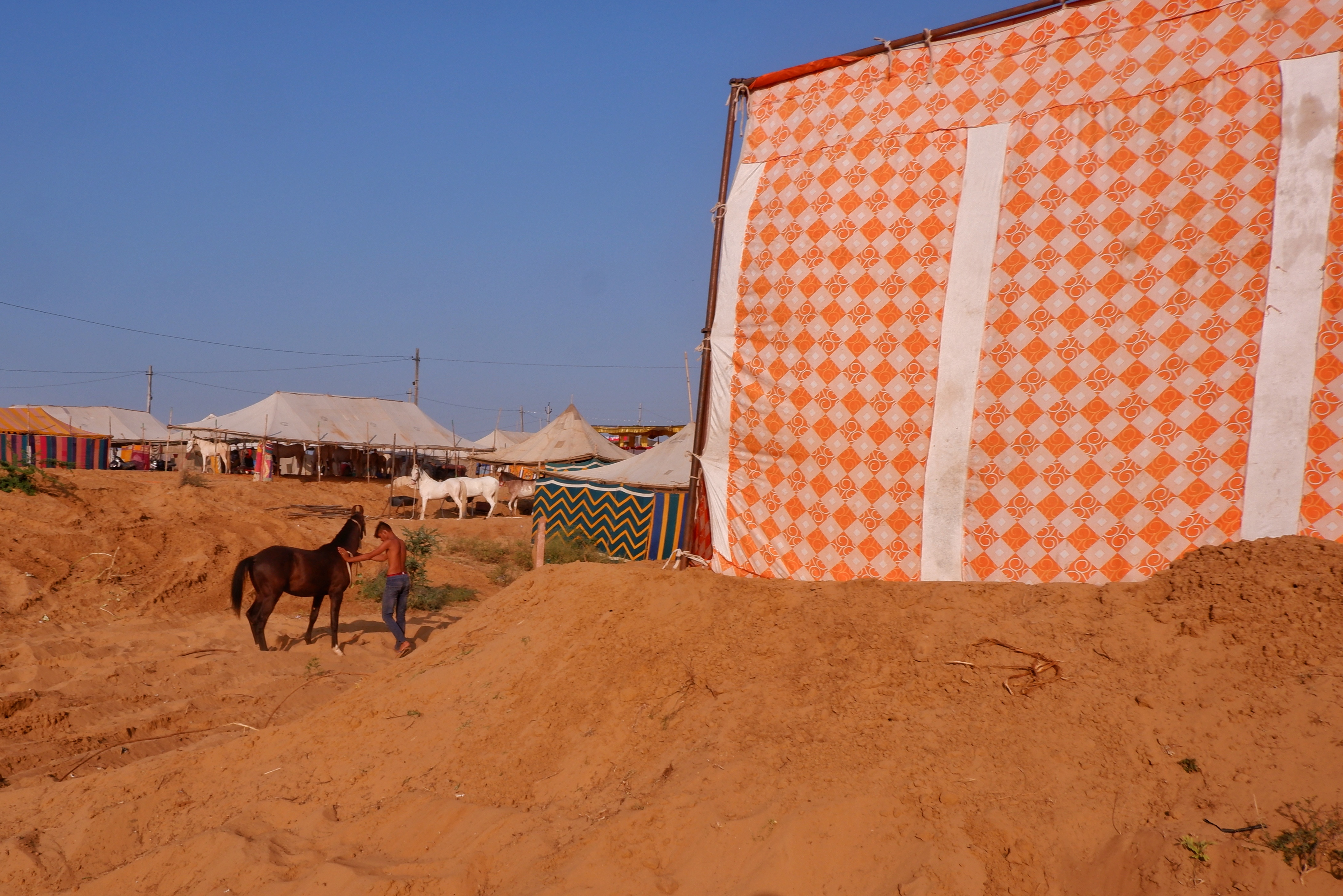 Life in Pushkar photograph 16